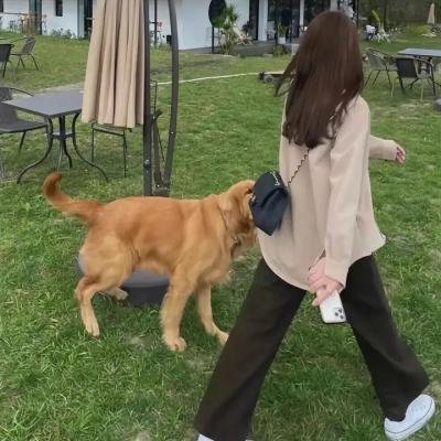 我和爸爸